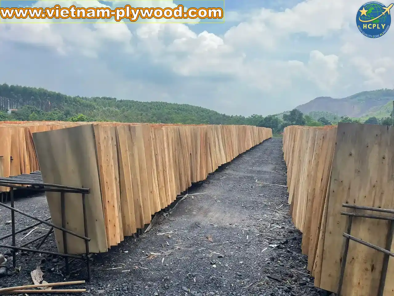 Eucalyptus Core Veneer