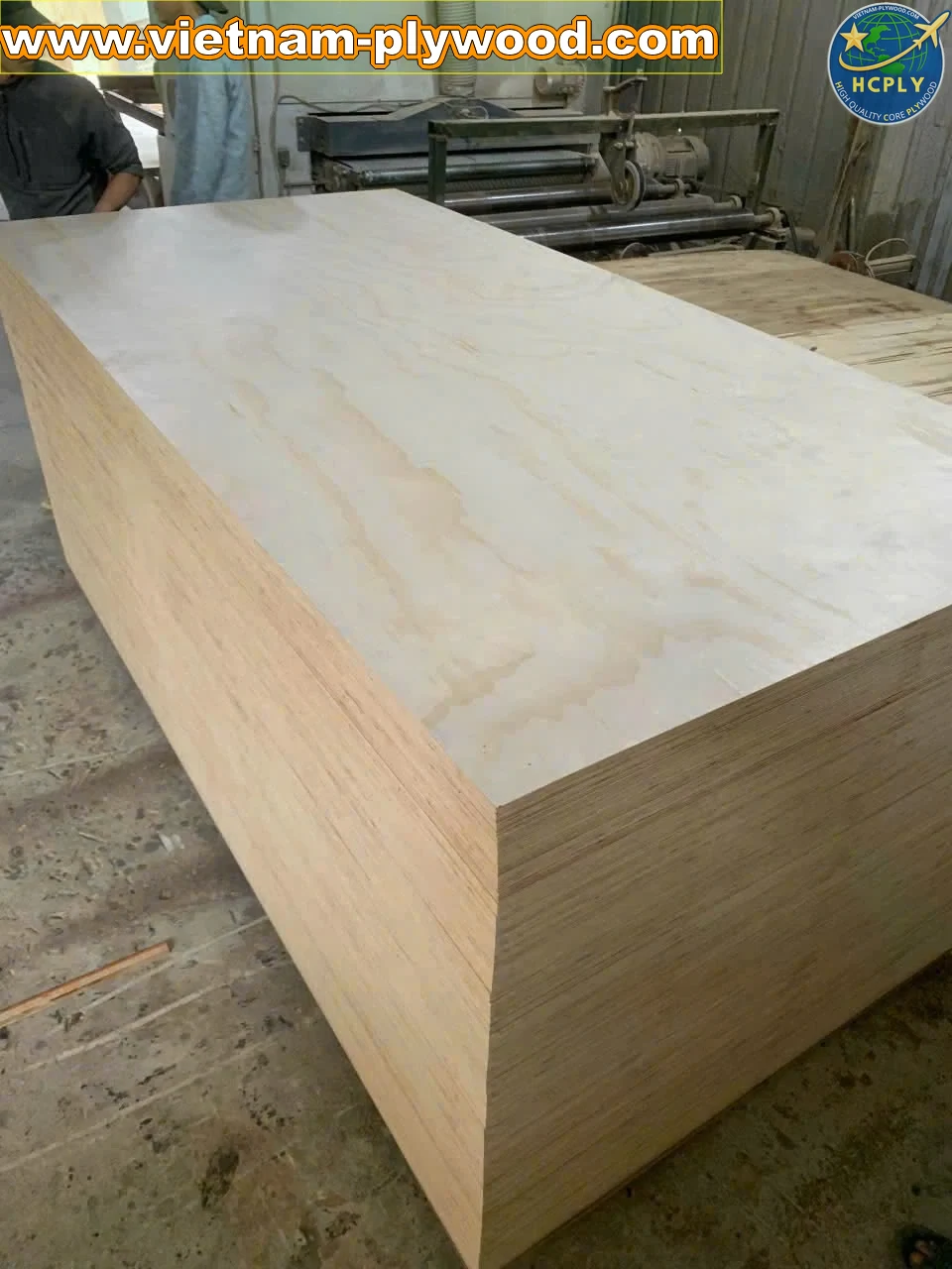 Pine Plywood